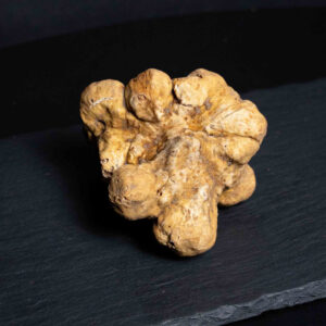 1ª Scelta Tartufo Bianco